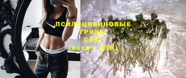 таблы Белокуриха