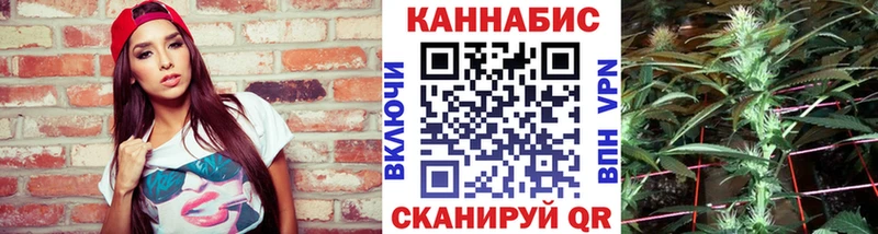 Конопля гибрид  Шатура 